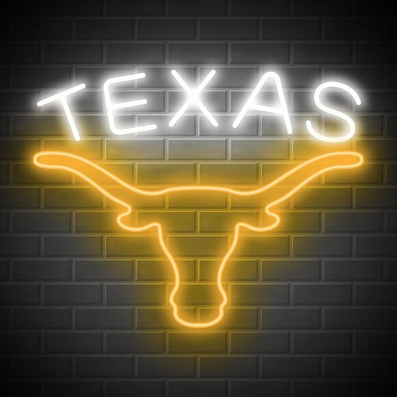 TEXAS LONGHORN NEON LED SIGN - Picture 1 of 5